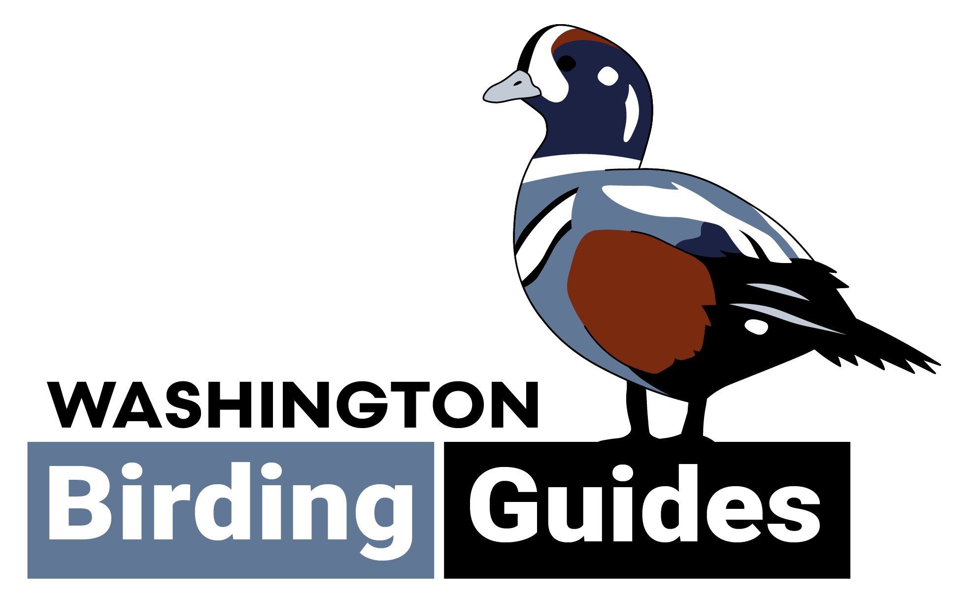 Liam Hutcheson - Washington Birding Guides